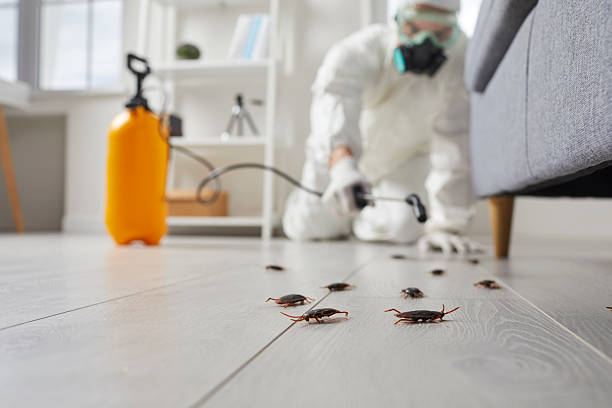 Post-Treatment Bed Bug Interceptor Monitoring in Herricks